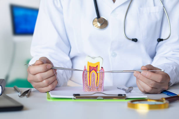 Best Emergency Tooth Extraction in Orida City, FL